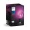 Lampadina intelligente Philips Hue White and Color ambiance G95 E27