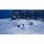 DRAGON QUEST MONSTERS: El Reino Marchito SWITCH
