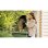 Triturateur de jardin Bosch AXT RAPID 2000 2000 W Lame 80 kg/h
