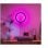 Aplique mural intelligent Philips Hue White and Color ambiance Sana Noir