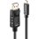 Cable adaptateur USB Type C à DisplayPort 10 m noir Lindy