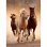 Puzle de 1000 piezas Clementoni Animales Caballos para adultos