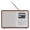 Radio Audizio Cosa-WD 30W RMS WiFi Bluetooth 5.2 DAB+ FM Alarma