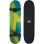 Monopatín classique Schildkröt Bigflip 31 bois d'érable roues 54 mm multicolore