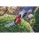 Tondeuse inalámbrica Einhell GC-CG 3,6/70 Li WT 3,6 V Lithium-Ion