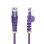 Cable de red StarTech.com N6PAT25CMPLS Cat6 UTP 0,25 m púrpura
