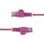 Cavo di rete StarTech.com N6PAT25CMPKS Cat6 UTP 0,25 m rosa