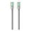 Cable de red Belkin RJ45-RJ45 Cat6 1 m gris