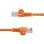 Cavo di rete StarTech Cat5e 3m arancione UTP RJ45 senza aggancio
