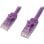 Cable réseau StarTech Cat5e UTP 10 m violet RJ45 sans accrocs