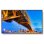 Monitor NEC M431-2 43" UltraHD 4K 60Hz IPS Altavoces Integrados VESA