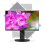 Monitor NEC MultiSync EA241F-BK 24" FullHD 60Hz IPS Altura Ajustável
