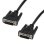 Cavo DVI-I Maschio/Maschio Dual Link 2m MCL