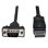 Cavo Adattatore DisplayPort a VGA Tripp Lite P581-006-VGA-V2 1,8 m Nero