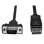 Cavo Adattatore DisplayPort a VGA Tripp Lite P581-006-VGA-V2 1,8 m Nero