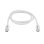 Cable Thunderbolt 3 StarTech 1 m 20 Gbps 100W PD 4K Blanc