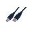 Cable USB 2.0 MCL A/B 2 m Macho/Macho Negro Plug and Play