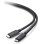 Cable USB-C macho a USB-C macho C2G 1,8 m USB 3.2 Gen 1 5 Gbps