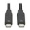 Cavo USB-C a USB-C EATON 2 m 100W USB-IF