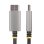 Cable Adaptador DisplayPort a HDMI StarTech.com 2m 8K 60Hz 4K 144Hz HDR10