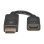 Adaptateur DisplayPort vers HDMI Tripp Lite P136-000 15 cm
