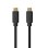 Cable USB-C à USB-C Port Designs 1 m 10 Gbit/s Noir
