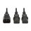 Câble de transmission Eaton P004-02M-2C13EU 2 m IEC C14 à IEC C13