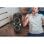 Altoparlanti Medion Karaoke Wireless 50W Bluetooth 5.4 batteria 5000mAh