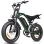Mota Elétrica Eskute V202 250W 48V 20.8Ah 20x4 Freios Mecânicos Verde