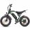 Mota Elétrica Eskute V202 250W 48V 20.8Ah 20x4 Freios Mecânicos Verde