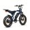 Mota Elétrica Eskute V202 250W 48V 20.8Ah 20x4 Freios Mecânicos