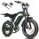 Moto Eléctrica Eskute V202 250W 48V 20.8Ah 20" Frenos Mecánicos Verde