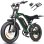 Moto Eléctrica Eskute V202 250W 48V 20.8Ah 20" Frenos Mecánicos Verde