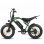 Moto Eléctrica Eskute V202 250W 48V 20.8Ah 20" Frenos Mecánicos Verde