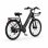Bicicleta Eléctrica Pixar C1 Pro Motor 250W Batería 36V 18Ah Frenos Hidráulicos Negro