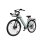 Bicicleta Eléctrica Pixar C1 Pro Motor 250W Batería 36V 18Ah Frenos Hidráulicos Verde