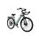 Bicicleta Eléctrica Pixar C1 Pro Motor 250W Batería 36V 18Ah Frenos Hidráulicos Verde