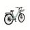 Bicicleta Eléctrica Pixar C1 Pro Motor 250W Batería 36V 18Ah Frenos Hidráulicos Verde