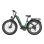 Bicicleta Eléctrica OVIVO V6 Pro 250W 48V20Ah 26" Frenos Hidráulicos Verdenegro