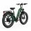 Bicicleta Eléctrica OVIVO V6 Pro 250W 48V20Ah 26" Frenos Hidráulicos Verdenegro