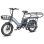 Bicicleta Eléctrica Plegable Fafrees Ff20 Cuv 20" Motor 250W Batería 48V 30Ah