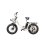Bicicleta Eléctrica Univercycle B5 250W 48V 13Ah 20" Neumáticos Anchos Frenos Disco Hidráulico Blanco