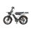 Bicicleta Elétrica Pixar M9 - Motor 250W Bateria 48V 35Ah Freios Hidráulicos Cinzento