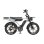 Bicicleta Elétrica Pixar M9 - Motor 250W Bateria 48V 35Ah Freios Hidráulicos Cinzento