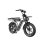 Bicicleta Elétrica Pixar M9 - Motor 250W Bateria 48V 35Ah Freios Hidráulicos Cinzento