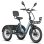 Bicicleta Elétrica Fafrees F20 Mate II 250W 48V21Ah 20 polegadas travões de disco hidráulicos cinzento azulado
