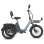 Bicicleta Elétrica Fafrees F20 Mate II 250W 48V21Ah 20 polegadas travões de disco hidráulicos cinzento azulado