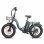Bicicleta eléctrica plegable Eskute D202 250W 48V 20,8Ah 20"4.0" Verde