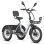 Bicicleta Elétrica Fafrees F20 Mate II 250W 48V21Ah 20 polegadas