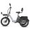Bicicleta Elétrica Fafrees F20 Mate II 250W 48V21Ah 20 polegadas